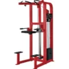 Hammer Strength Select Assist Dip Chin