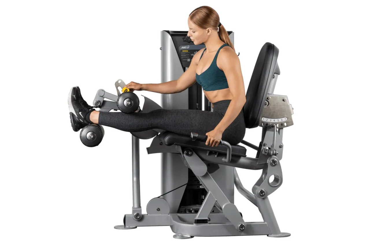 Hoist ROC-IT Leg Curl Machine (RS-2402)