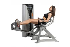 Hoist ROC-IT Lower Back Machine (RS-2204)