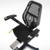 LifeSpan R5i Recumbent Exercise Bike
