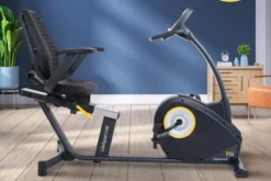 LifeSpan R5i Recumbent Exercise Bike