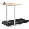 LifeSpan TR1200-Power Treadmill Desk