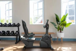 TRUE Performance Series Recumbent Exercise Bike