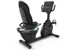 TRUE Performance Series Recumbent Exercise Bike