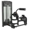 Warrior Elite Commercial Series Abdominal/Back Extension (🧨JULY 4th SALE - Extra 5%)