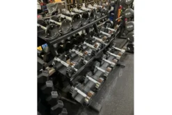 Warrior Pro-Style Chrome Dumbbell Set (5-50lb)