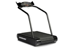 Woodway Path Treadmill